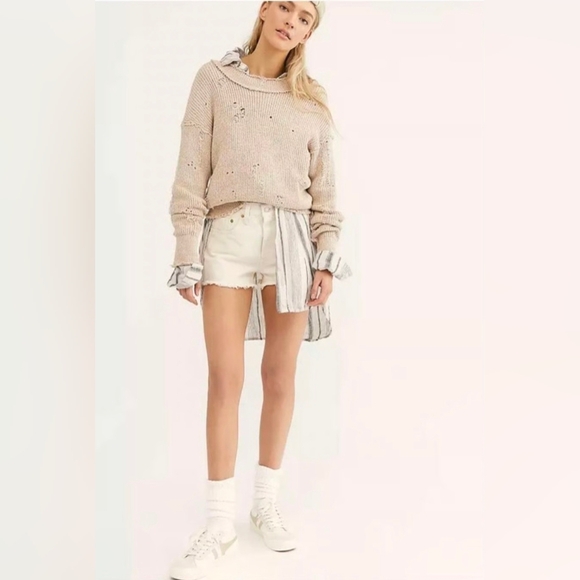 Free People Maverick Sweater Sz XS NWOT Neutral Distressed LS Crewneck